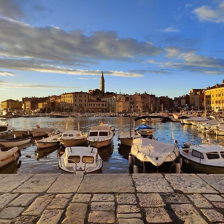 Apartment Lipa Rovinj Dış mekan fotoğraf
